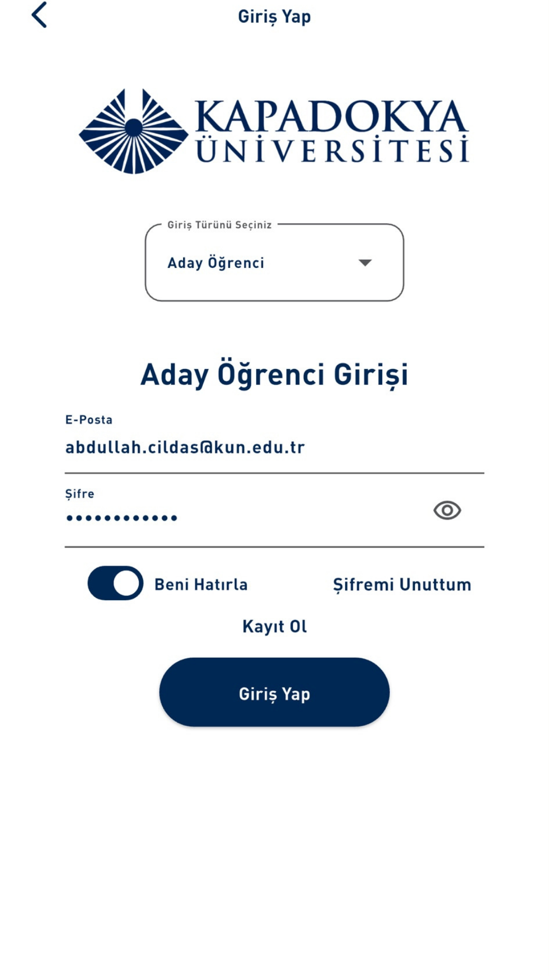 Giriş